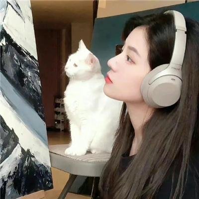 天网孽情